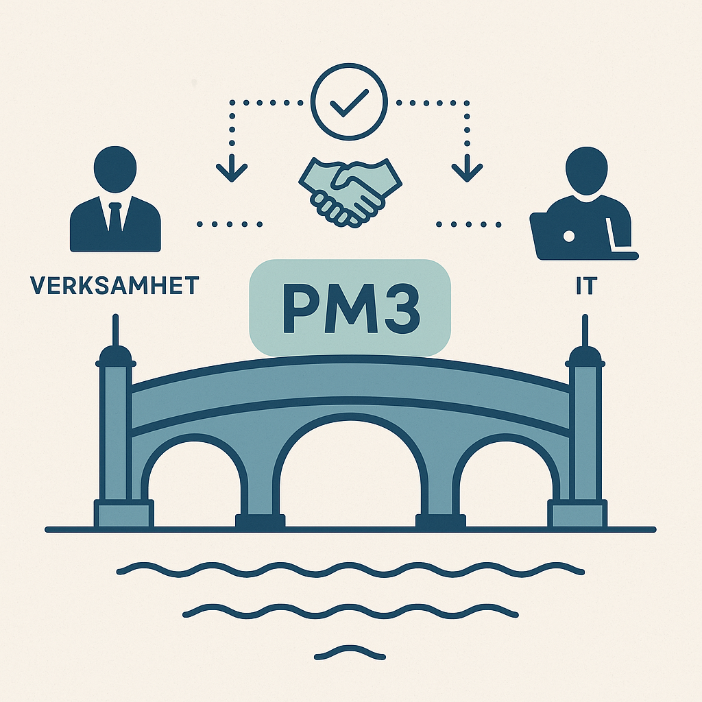 Vanliga fallgropar när pm3 används fel – och hur de undviks